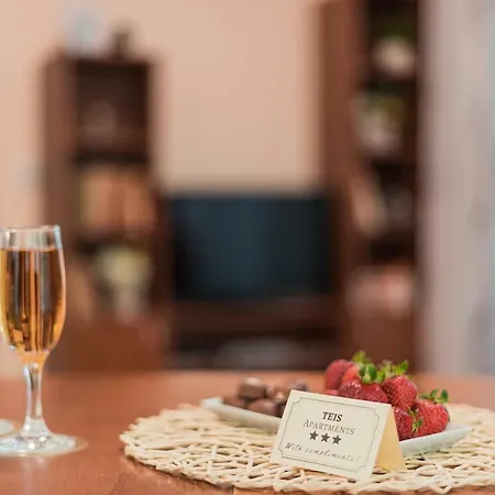 Teis Center Apartment